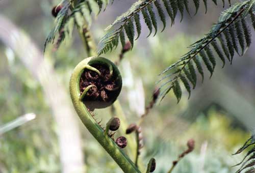 Walkerbout.com - Placeholder Page